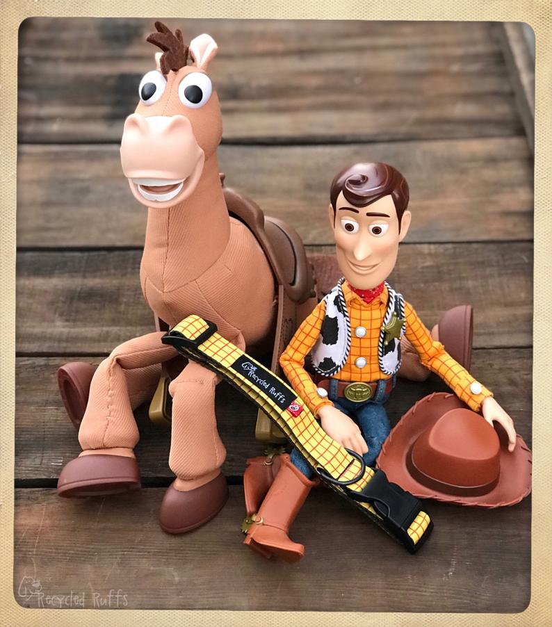 Disney's Pixar Toy Story Inspired 