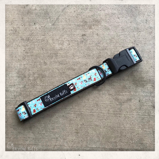 Dooney & Bourke Dog Collar